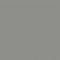 RAL 9007